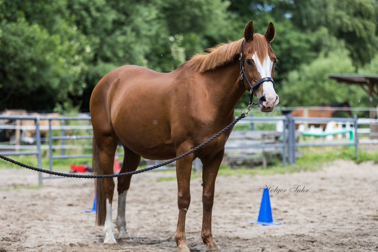 Bild 61 - Vivi